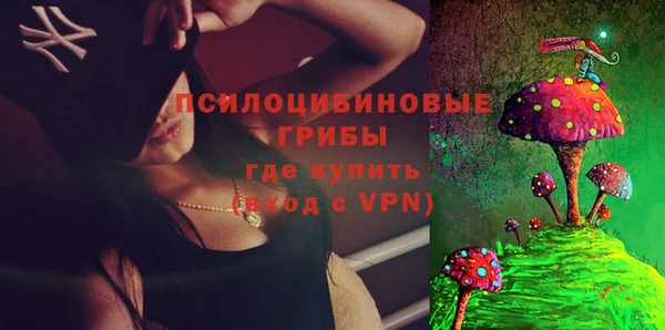MDMA Инсар